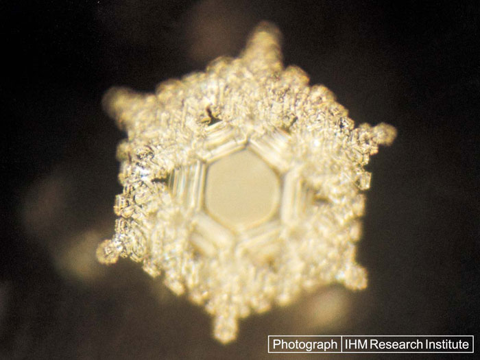 Het mooiste waterkristal dat Dr. Emoto kon ontdekken, werd gevormd bij de woordcombinatie "Liefde en Dankbaarheid"