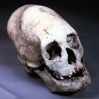 Buitenaardse schedel