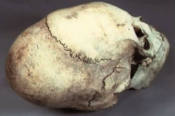 Buitenaardse schedel