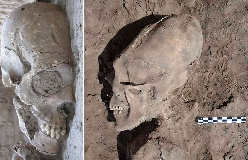 In 2012 werden er 25 oude skeletten gevonden bij het dorpje Onavas in Noord-West Mexico. 13 hadden er verlengde schedels, waarvan er 5 ook nog vreemde gebitten hadden met puntige voortanden en platte hoektanden