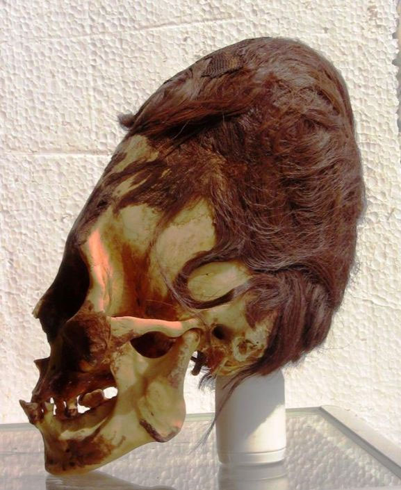 Verlengde schedel met rood haar, zoals er vele zijn gevonden in Paracas, Peru