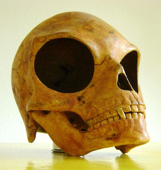 De Schedel van Seeland